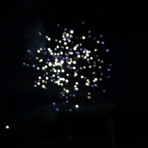 Meet your Posher, Sammy